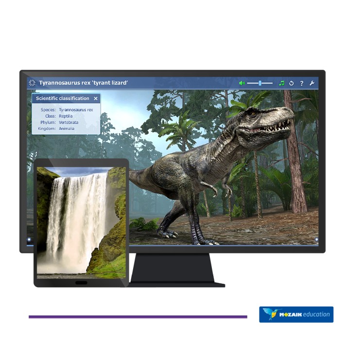 Mozaik TEACHER – Licenza Utente/Docente -...