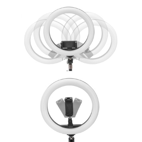 Luce LED ad Anello 33 cm - 1600 Lumen - con Supporto da Tavolo