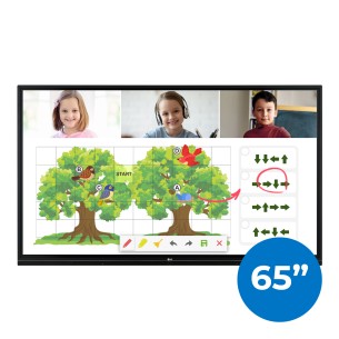 Monitor Touch LG 65" con Wi-Fi, Bluetooth, Staffa, Installazione