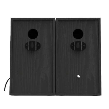 Coppia di casse preamplificate da 100W - ECO100PLUS - con funzione ECO - Colore Nero