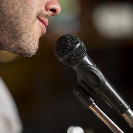 Microfono Wireless a gelato - JI150 - con ricevitore con jack 6,3mm