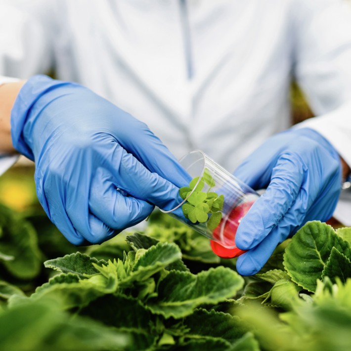 LABORATORIO DI AGRARIA