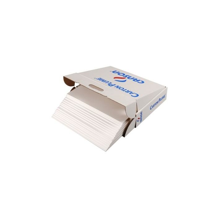 Canson C205154223 carta da disegno Foglio d'arte