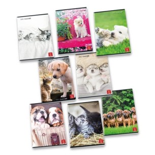 Pigna 8005235100404 quaderno per scrivere A4 42 fogli...