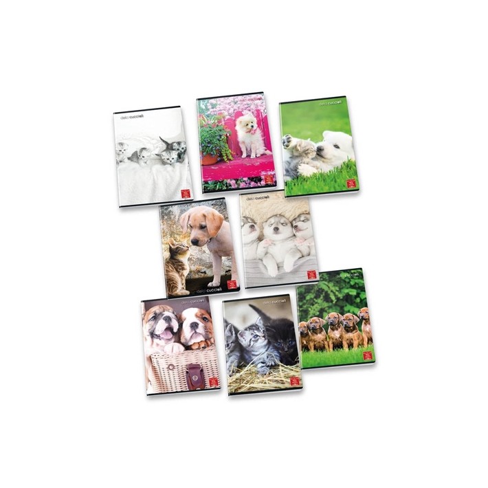 Pigna 8005235100404 quaderno per scrivere A4 42...