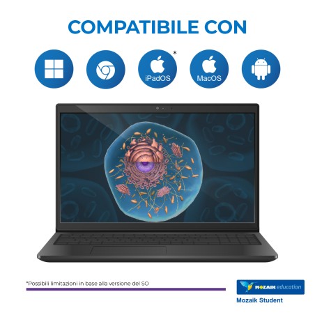 Mozaik STUDENT– Licenza Utente/Studente - Abbonamento 1 Anno – Multipiattaforma – Inclusa XR...