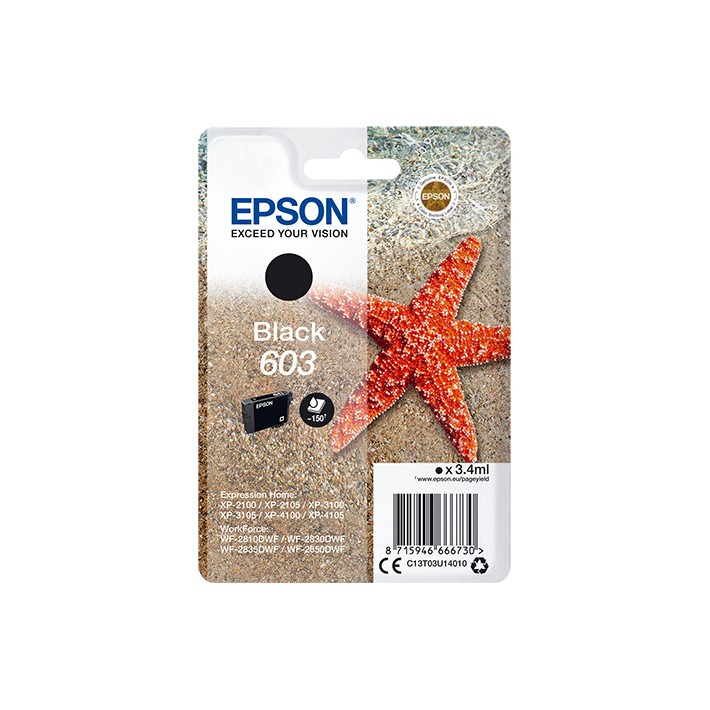 Epson Singlepack Black 603 Ink