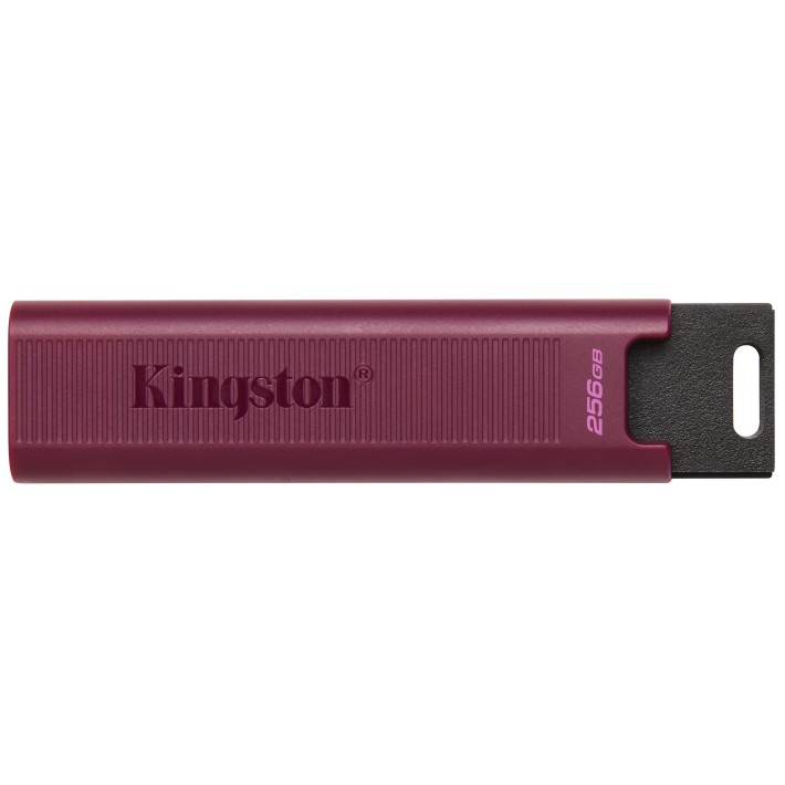 Kingston Technology DataTraveler 256GB Max...