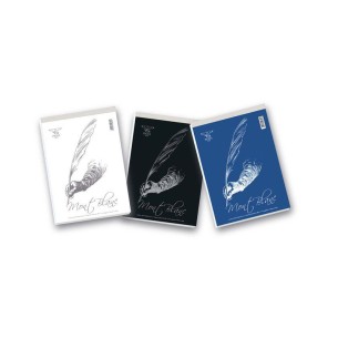 Pigna 02291211R quaderno per scrivere A4 Multicolore