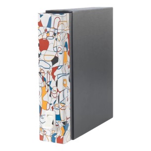 Esselte Dox 2 raccoglitore ad anelli A4 Multicolore