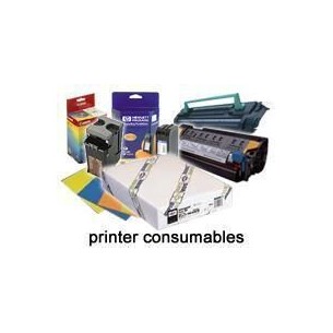 Epson Somerset "Velvet Fine Art" Paper per , in rotoli da...