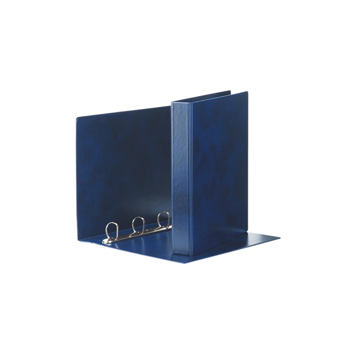 Esselte 390550050 raccoglitore ad anelli 245 x...