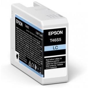 Epson UltraChrome Pro cartuccia d'inchiostro 1 pz...