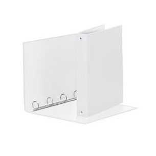 Esselte 395792904 scatola per la conservazione di...