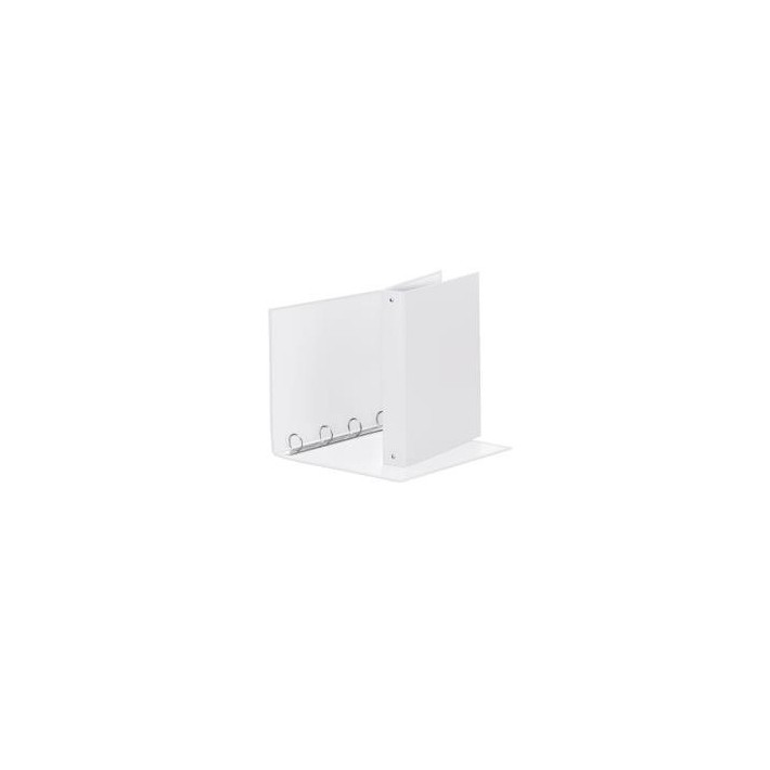 Esselte 395792904 scatola per la conservazione...