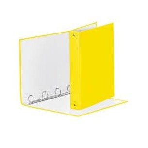 Esselte 395792930 scatola per la conservazione di...