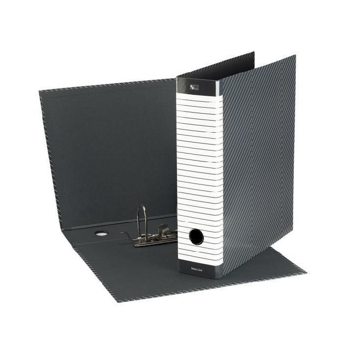 Esselte Delso Line raccoglitore ad anelli