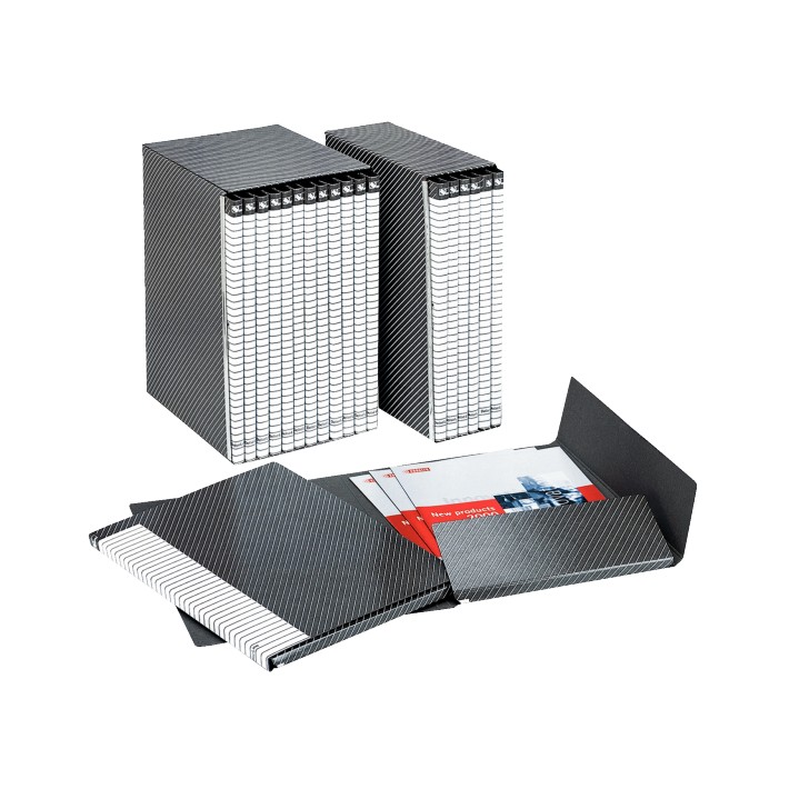 Esselte Delso Line raccoglitore