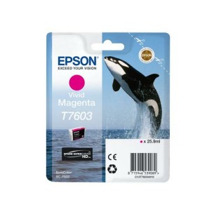 Epson C13T76034N10 cartuccia d'inchiostro 1 pz Originale...