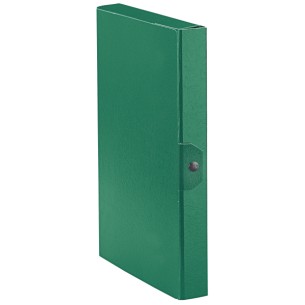 Esselte Eurobox raccoglitore Verde Cartoncino