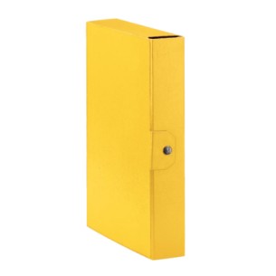 Esselte 390326090 scatola per la conservazione di...