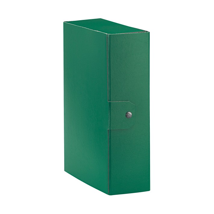 Esselte Eurobox raccoglitore Verde