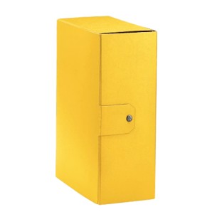 Esselte 390332090 scatola per la conservazione di...