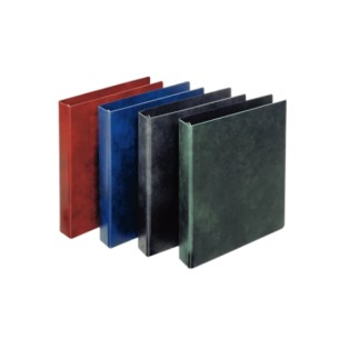 Esselte 390553050 raccoglitore ad anelli A4 Blu