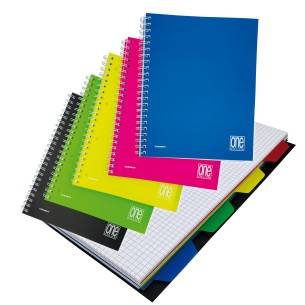 Blasetti 7738 quaderno per scrivere A4+ 120 fogli Colori...