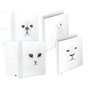 Pigna 023091230 raccoglitore ad anelli A4 Bianco