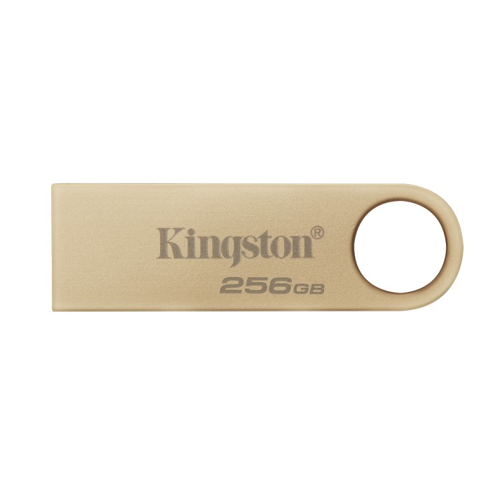 Kingston Technology DataTraveler 256GB 220MB/s...