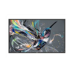 Philips 50BDL3510Q/00 visualizzatore di messaggi Pannello...