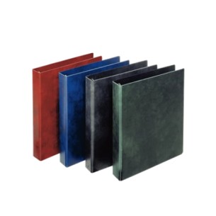 Esselte 390551050 raccoglitore ad anelli A4 Blu