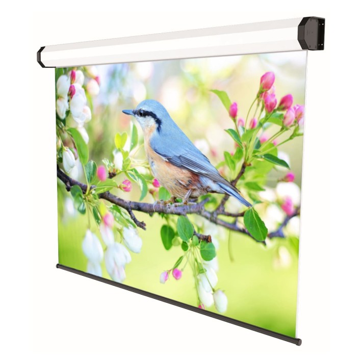 Sopar 5205 schermo per proiettore 2,36 m (93")...