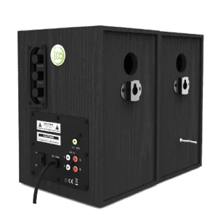 Coppia di casse preamplificate da 100W - ECO100PLUS - con funzione ECO - Colore Nero 2