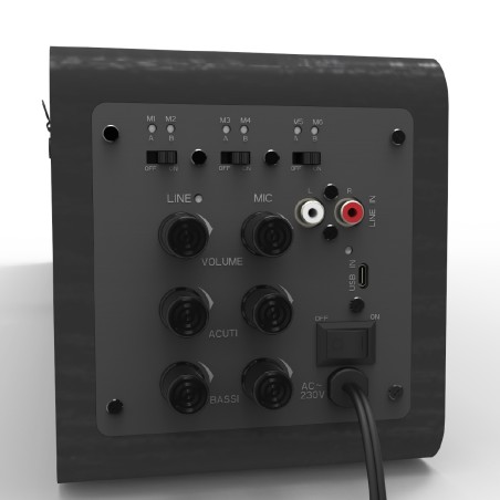 Soundbar Conference 6 - con Webcam 4k e 6 Radiomicrofoni UHF Inclusi