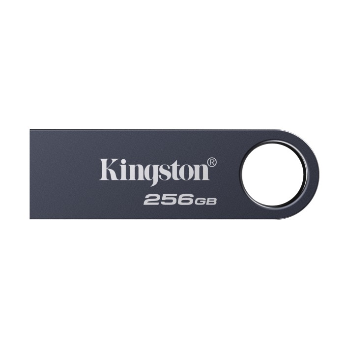 Kingston Technology DataTraveler 256GB SE9 G3 -...