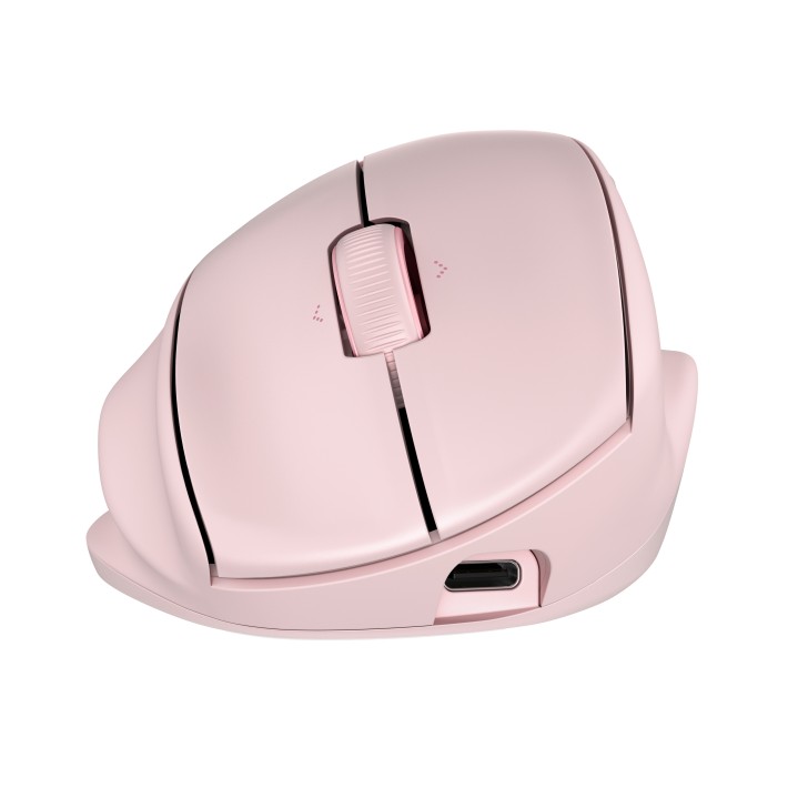 HP Tilt Ergo PNK MSE 720M EMEA-INTL EN L mouse