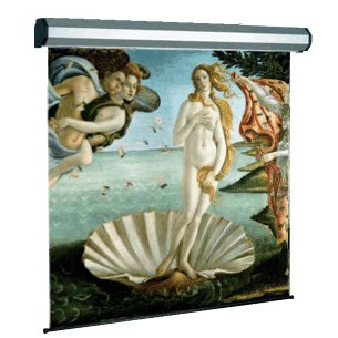 Sopar Electric professional schermo per proiettore 3,4 m...