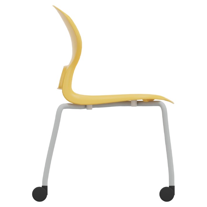 Sedia Gelso 4 Gambe con Ruote - Altezza Seduta...