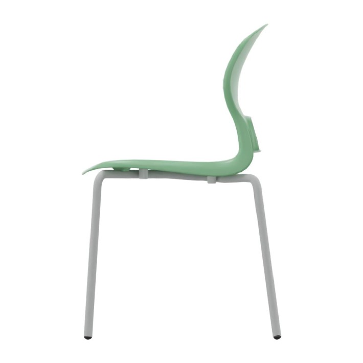 Sedia Gelso con 4 Gambe - Altezza Seduta 43 cm...