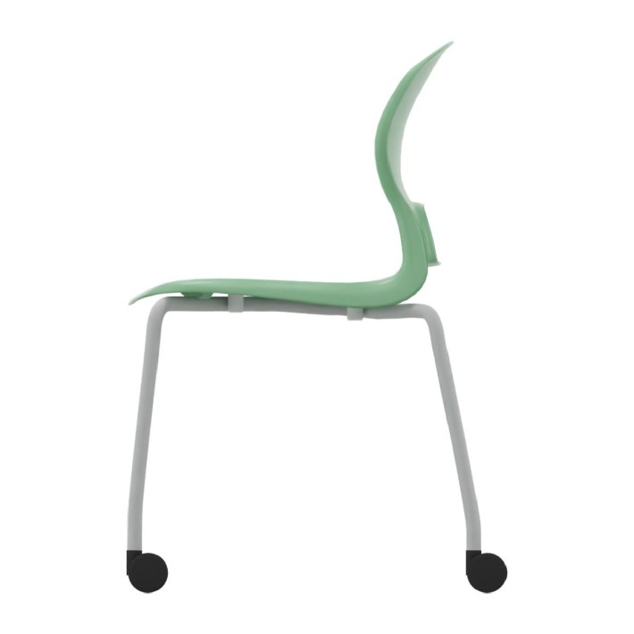 Sedia Gelso 4 Gambe con Ruote - Altezza Seduta...