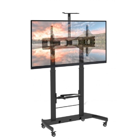 Carrello per Monitor con Mensola porta Webcam - fino a 120kg - VESA Max 1000 x 600