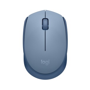 Logitech M171