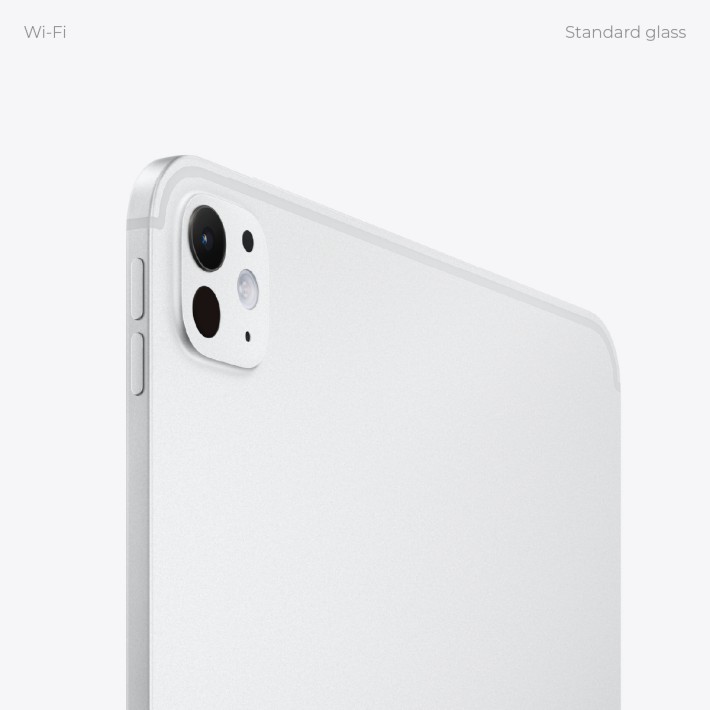 Tablet - Apple iPad Pro - 13"- Standard glass -...