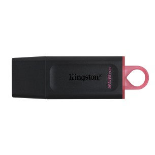 Kingston Technology DataTraveler Drive Flash USB 3.2 -...