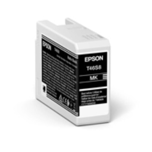 Epson UltraChrome Pro10 cartuccia d'inchiostro 1 pz...