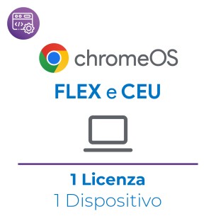 ChromeOS Flex & CEU