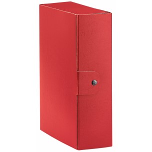 Esselte C30 EUROBOX cartella progetti - dim. 25 x 35 cm...