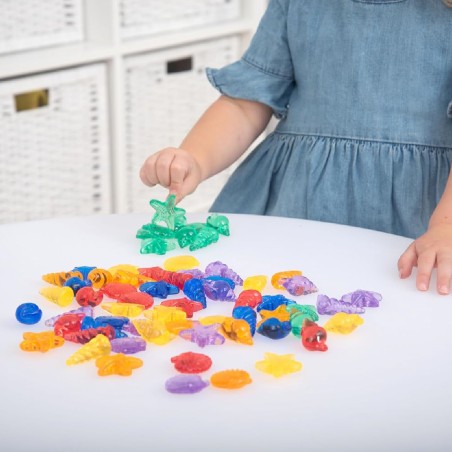 Conchiglie Colorate Traslucide - Confezione da 72 Pezzi